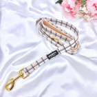 PLAIDLEAD